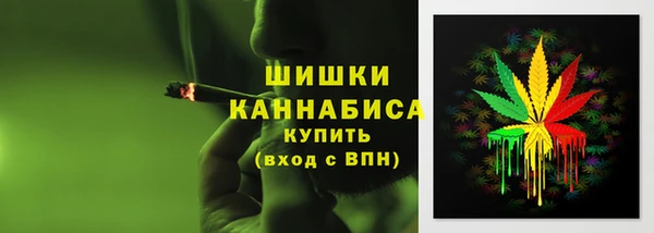 шишки Алексин