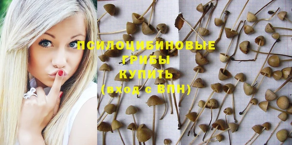 шишки Алексин