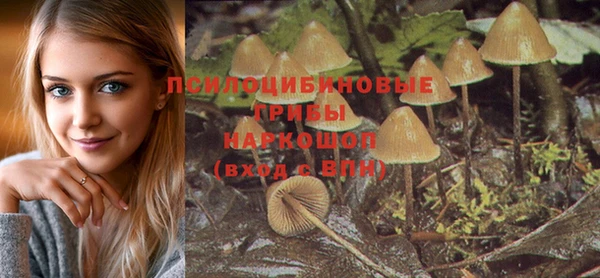 марки nbome Пересвет