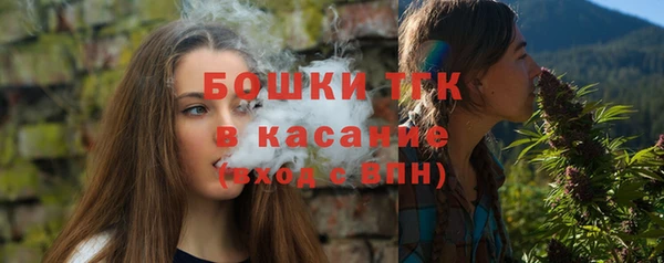 шишки Алексин
