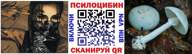 OMG tor  Нерехта  Псилоцибиновые грибы Magic Shrooms 